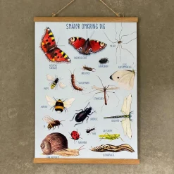 Plakat 50 x 70 cm - Smådyr omkring dig