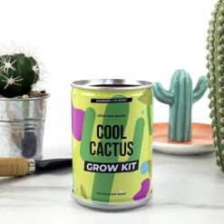 Plant selv kit - Kaktus