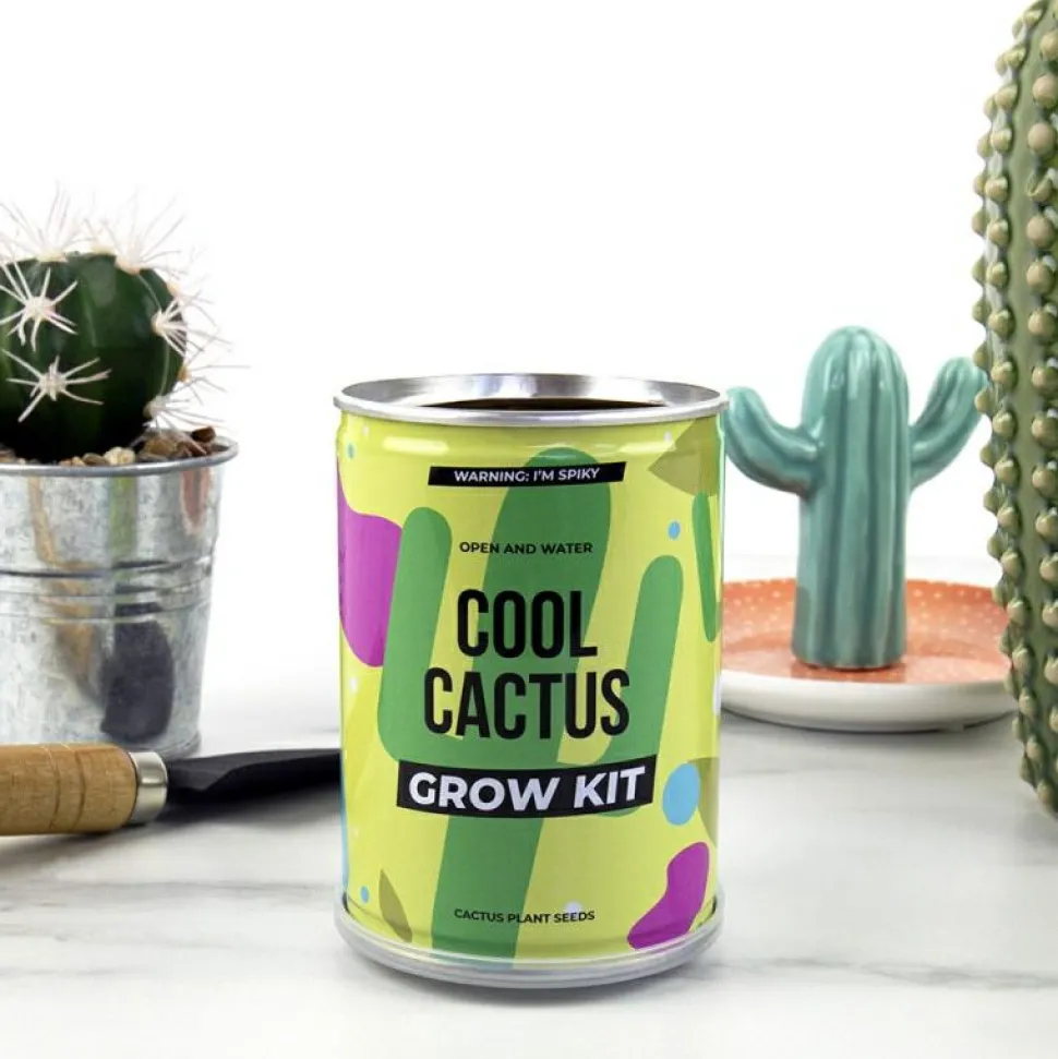 Plant selv kit - Kaktus