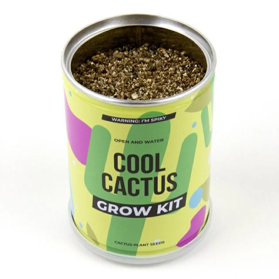 Plant selv kit - Kaktus