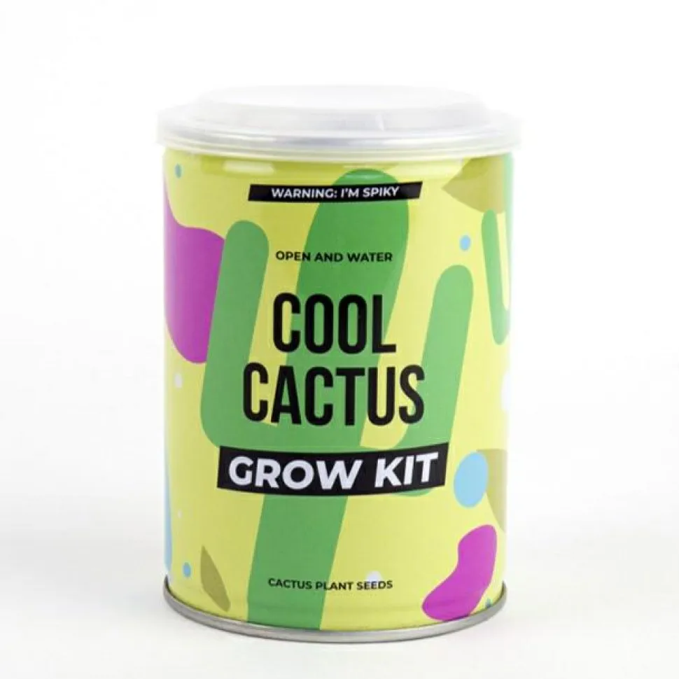 Plant selv kit - Kaktus