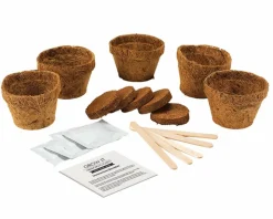 Plant selv kit - Kødædende plante