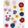 Pressede blomster - Blandede farver, 1 ark