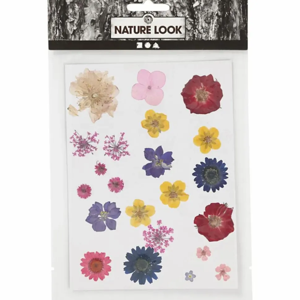 Pressede blomster - Blandede farver, 1 ark