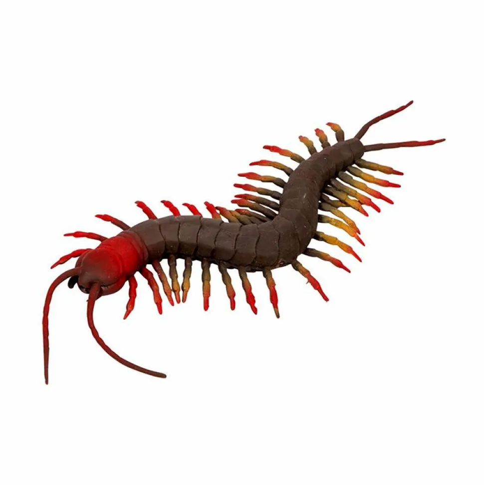 Skolopender - L: 23 cm