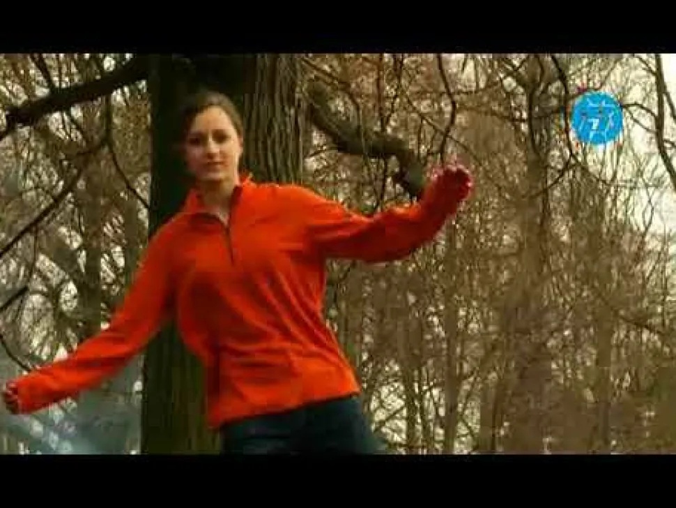 Slackline balancesæt - Begynder/Family