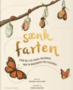 Sænk farten - Med 50 historier fra naturen
