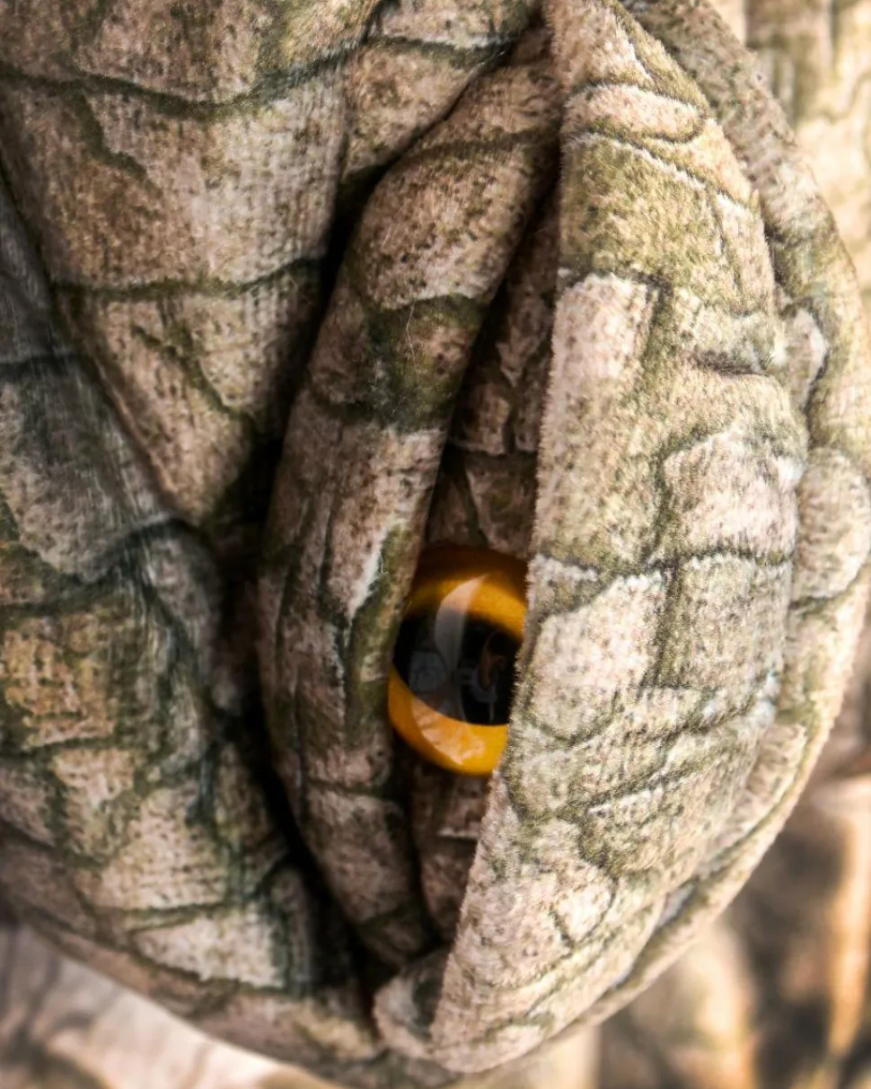 Spinosaur, str. 3-4 år