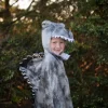 Spinosaurus, str. 4-6 år