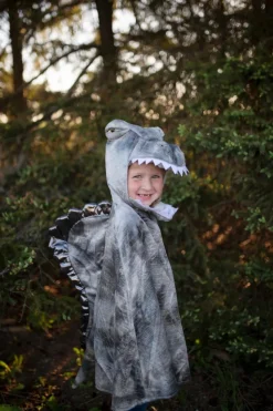 Spinosaurus, str. 4-6 år
