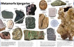Sten & mineraler... og andre skatte fra naturen