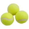 Tennisbolde, 3 stk.