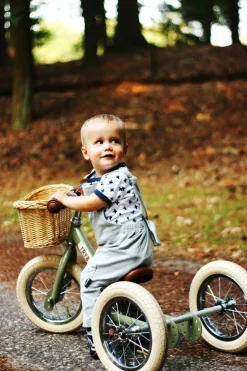 Tilbehør Trybike - Cykelkurv i flet