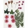 Tørrede blomster/blade - Lyserød, 19 ass.