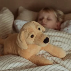 Tyngdedyr - Hund 2,2 kg