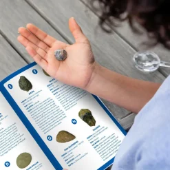 Udgravningssæt - Fossiler