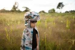 Velociraptor, str. 4-6 år
