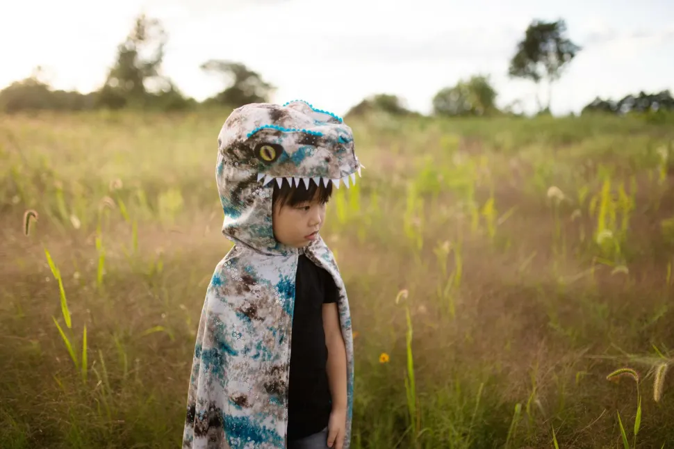 Velociraptor, str. 4-6 år