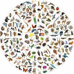 Vildkatten - Animals