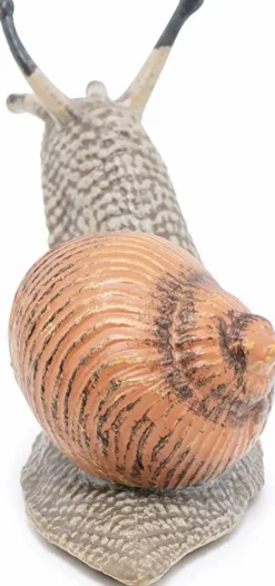 Vinbjergsnegl - L: 6 cm